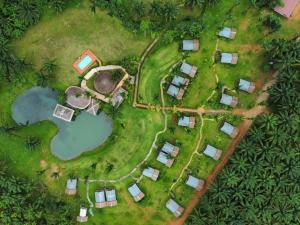 an overhead view of a garden with a pond at Khaosok Boutique Hideaway - Cliff Tent in Khao Sok National Park