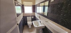 ein Badezimmer mit einem Waschbecken, einem WC und einem Spiegel in der Unterkunft The Lion Pub & Hotel in Mount Lavinia