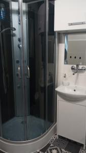 a bathroom with a shower and a sink at SELF CHECK-IN APARTAMENT LOTNISKO SZPITAL PARKING TARGi in Poznań