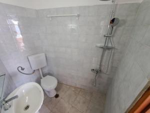 een badkamer met een toilet, een wastafel en een douche bij Nettuno Seafront Apartments in Análipsis