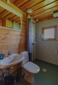 a bathroom with a white toilet and a sink at Rauhalahti Holiday Cottages in Kuopio