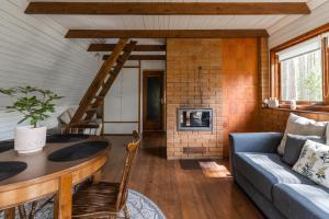 a living room with a couch and a fireplace at Maro Guesthouse with Sauna in Vääna-Jõesuu