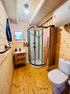 a bathroom with a shower and a toilet and a sink at Domek w lesie na Mazurach in Orzyny