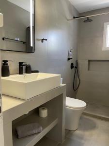 bagno con lavandino bianco e servizi igienici di Maria's Garden a Andiparos