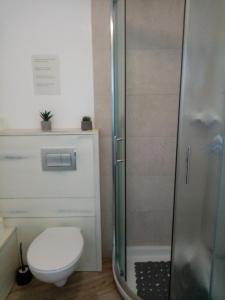 a bathroom with a toilet and a shower at Rooms Serafin-Lavanda in Motovun