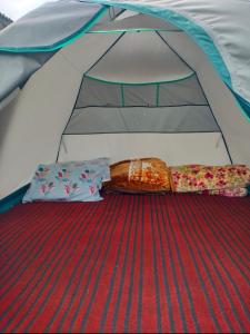 a tent with two beds in the middle of it at Brown bear camping gurez in Kanzalwan