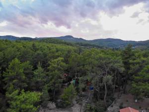 an aerial view of a forest with mountains in the background at Olympos Five Rooms Apart no 1 in Antalya