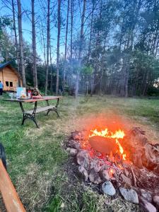 - un foyer extérieur dans un champ avec une table de pique-nique dans l'établissement Domek w lesie na Mazurach, à Orzyny