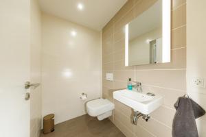 a bathroom with a toilet and a sink and a mirror at Premiumferienhäuser Agena - Ankaa in Hasselfelde