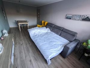 sala de estar con sofá y manta en 2- pokojowe mieszkanie w Gdyni Cisowa, en Gdynia