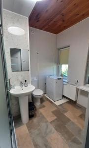 a bathroom with a sink and a toilet at Ausros 19 flat in Utena