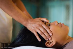 Spa și/sau alte facilități de wellness de la Sala Lodges