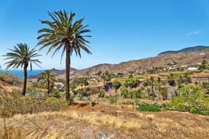 two palm trees in a field with mountains in the background at Rosa del Negro in Alojera