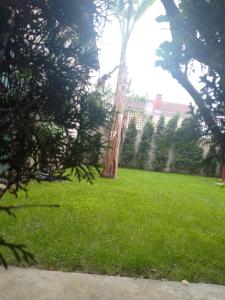 Zahrada ubytování Apartman Hrkalovic
