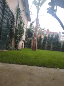 Zahrada ubytování Apartman Hrkalovic