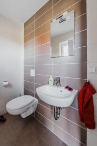 a bathroom with a sink and a toilet at Ferienhaus Hödur in Hasselfelde