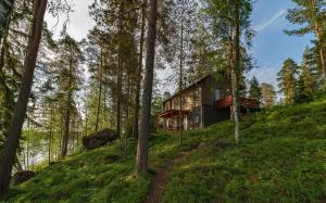 a house on a hill in the woods at Rauhalahti Holiday Homes in Kuopio