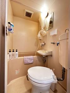La petite salle de bains est pourvue de toilettes et d'un lavabo. dans l'établissement Hokusei Bldg 42 ほくせいビル 42号室, à Sapporo