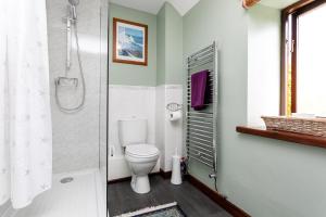 uma casa de banho com um WC e um chuveiro em Swallows Cottage nr Warkworth em Acklington
