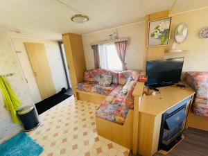 een woonkamer met een bank en een flatscreen-tv bij Holiday Caravan Holle Poarte Makkum in Makkum