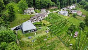 an aerial view of a house on a hill with a vineyard at Rustico Campei in Medeglia
