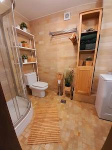 a bathroom with a shower and a toilet and a sink at Reload Apartment in Miskolc