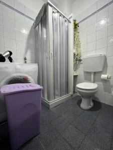 łazienka z toaletą, prysznicem i koszem na śmieci w obiekcie Casa Serena w mieście Menfi