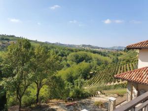 a view of a vineyard from a house at Casa Milu in Mango