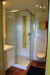 uma casa de banho com um chuveiro e um WC. em Gemütliche Wohnung mit Terrasse in der Nähe vom Bodensee em Tettnang