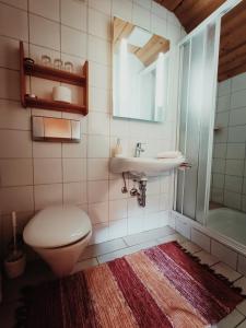 a bathroom with a toilet and a sink at Ferienhof Mittermair in Vorderstoder
