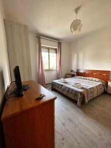1 dormitorio con 1 cama y escritorio con TV en hotel La pineta en Carrara