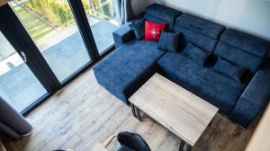 文戈熱沃的住宿－Apartamenty Mazurski Rejs，靠窗的客厅里一张蓝色的沙发