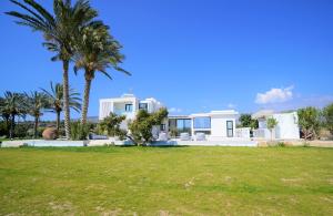 派亞的住宿－Luxury 4 Bedroom Oasis Villa，棕榈树和院子的白色房子