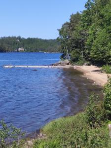una playa con árboles y un cuerpo de agua en Linus och Lottas Frigga, en Hällingsjö