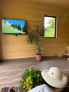 a person with a hat sitting in a room with a tv at Address number 8 in Yeghegnadzor