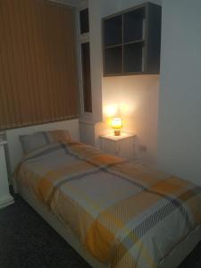 伯明罕的住宿－Kunda House Oliver，一间卧室配有一张床,上面有灯