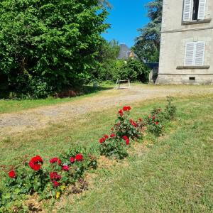 un champ de fleurs rouges devant une maison dans l'établissement Chambres d'hôtes Château de Saint Etienne du Bois, à Saint-Étienne-du-Bois