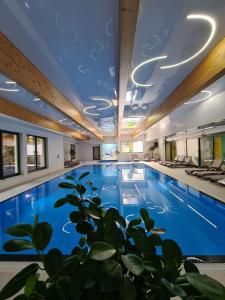 a large swimming pool in a hotel with a plant at Apartament 44 Sianożęty in Sianozety