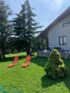 Fotografia z galérie ubytovania Villa Zala v Zalakarose + 16 fotografií