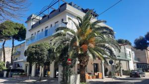 uma palmeira em frente a um edifício branco em Hotel Memory em Rimini