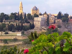 a view of the city of jerusalem from the citadel at Cozy Garden in Jerusalem