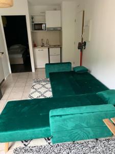 Kuchyňa alebo kuchynka v ubytovaní Appartement Rangeuil Toulouse