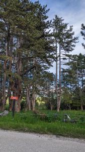 Paesaggio naturale nelle vicinanze dello chalet