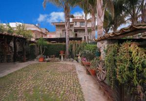 um jardim com plantas e árvores e um edifício em Villa Basilio Accommodation em Capo Vaticano