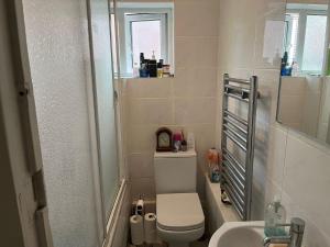 a small bathroom with a toilet and a sink at Churchbury Eltham in Eltham