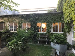 a building covered in ivy with a bench in the yard at Loft63 am Bodensee in Arbon