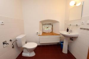 bagno con servizi igienici e lavandino di Penzion Mauritz a Nová Pec