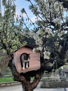Fotografie z fotogalerie ubytování B&B La casa dei nonni Assergi v destinaci Assergi