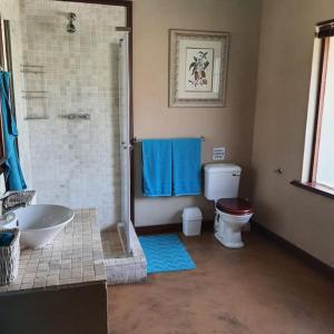 a bathroom with a shower and a toilet and a sink at Gentleman's Estate on the Vaal River in Vanderbijlpark