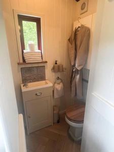 a small bathroom with a toilet and a sink at Cleo’s Hut in Cowfold